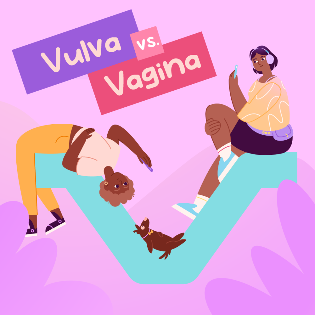 Vulva Vs. Vagina