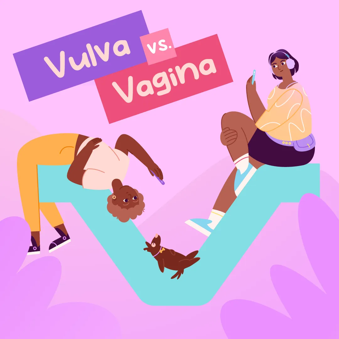 Erklärvideo für Stadt Wien von Polarfux - Szene Vulva vs Vagina