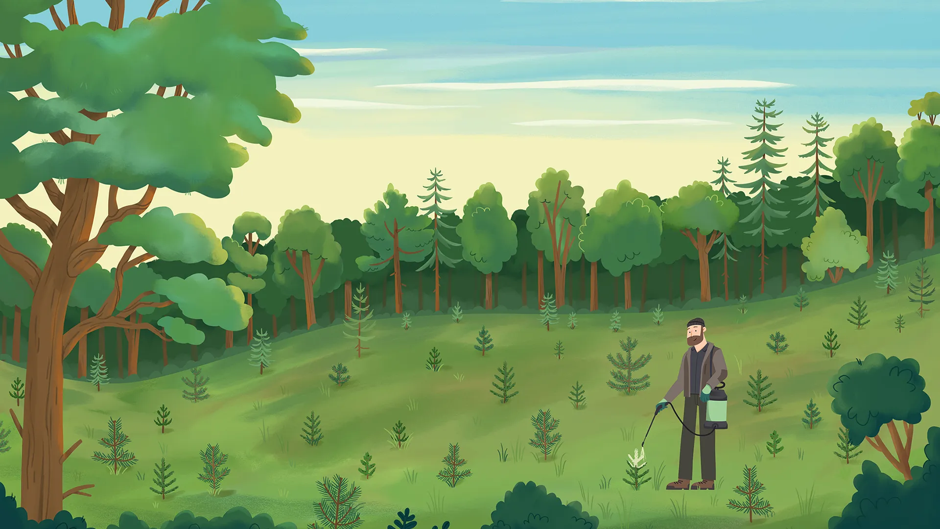 Produktvideo für Kwizda von Polarfux - Illustration Wald mit Förster