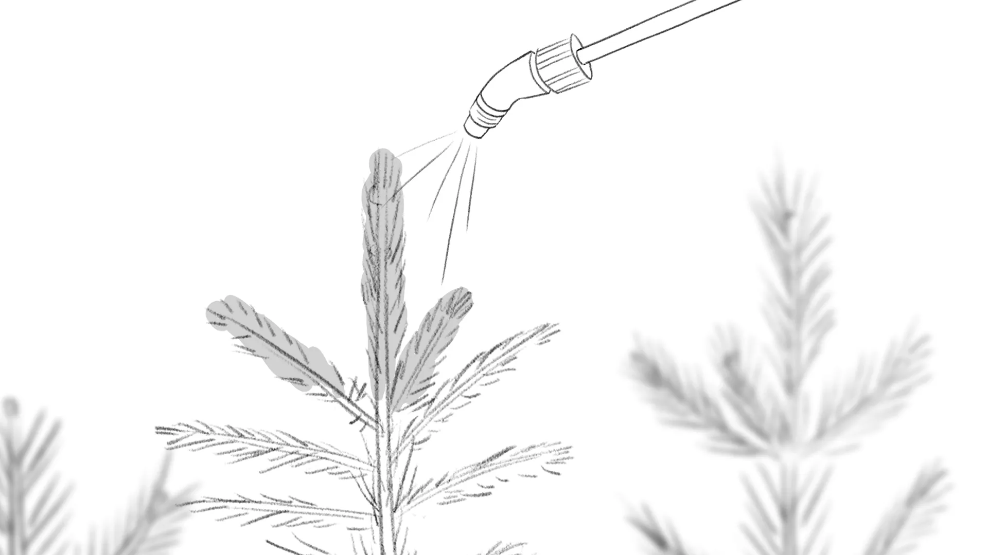 Produktvideo für Kwizda von Polarfux - Skizze Baum Applikation