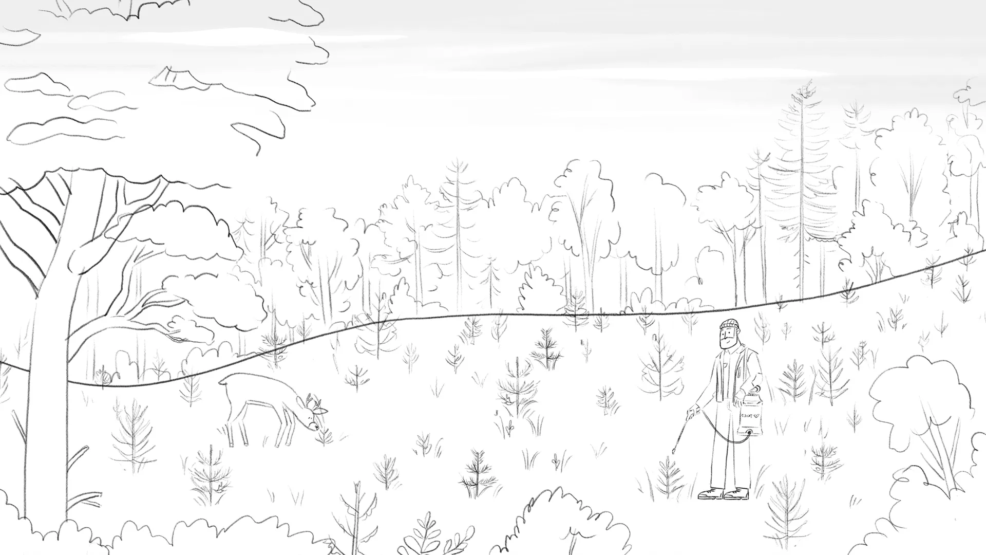 Produktvideo für Kwizda von Polarfux - Skizze Wald mit Förster